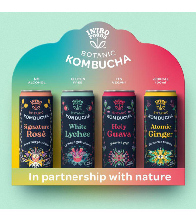 Set Kombucha 8 Lattine 330 Ml + Expo 330 Ml Gluten Free - Vegan