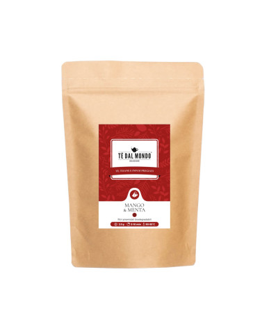 100 Piramidali Infuso Mango & Menta In Doypack Refill 2.5Gr